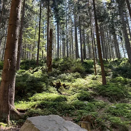 Resident Katrin Wellness Grotta Free *